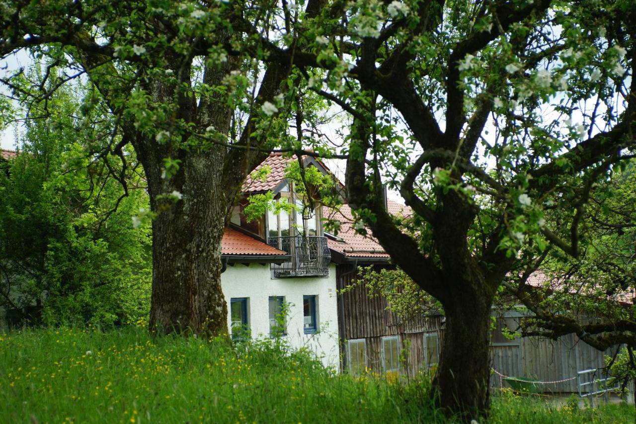 Moosmuehle Allgaeu Untrasried Zewnętrze zdjęcie